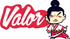 Valor software logo